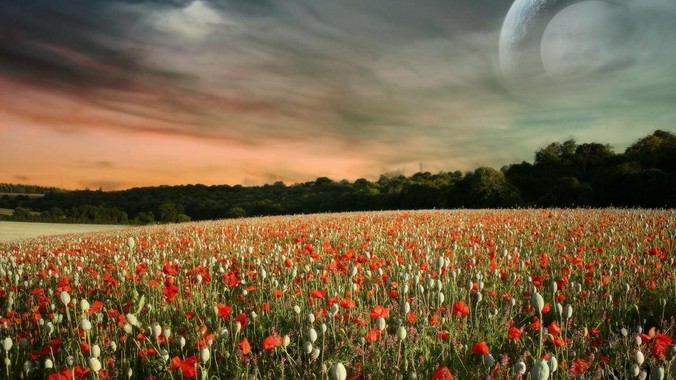 是什么原因让你决定开始练书法？